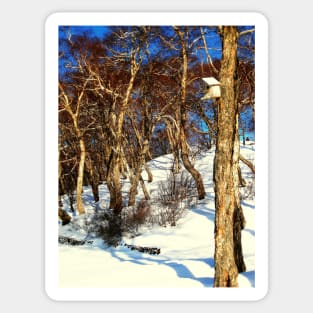 A Birds' House on Nikolskaya Hill, Petropavlovsk, Kamchatka, Russia. Sticker